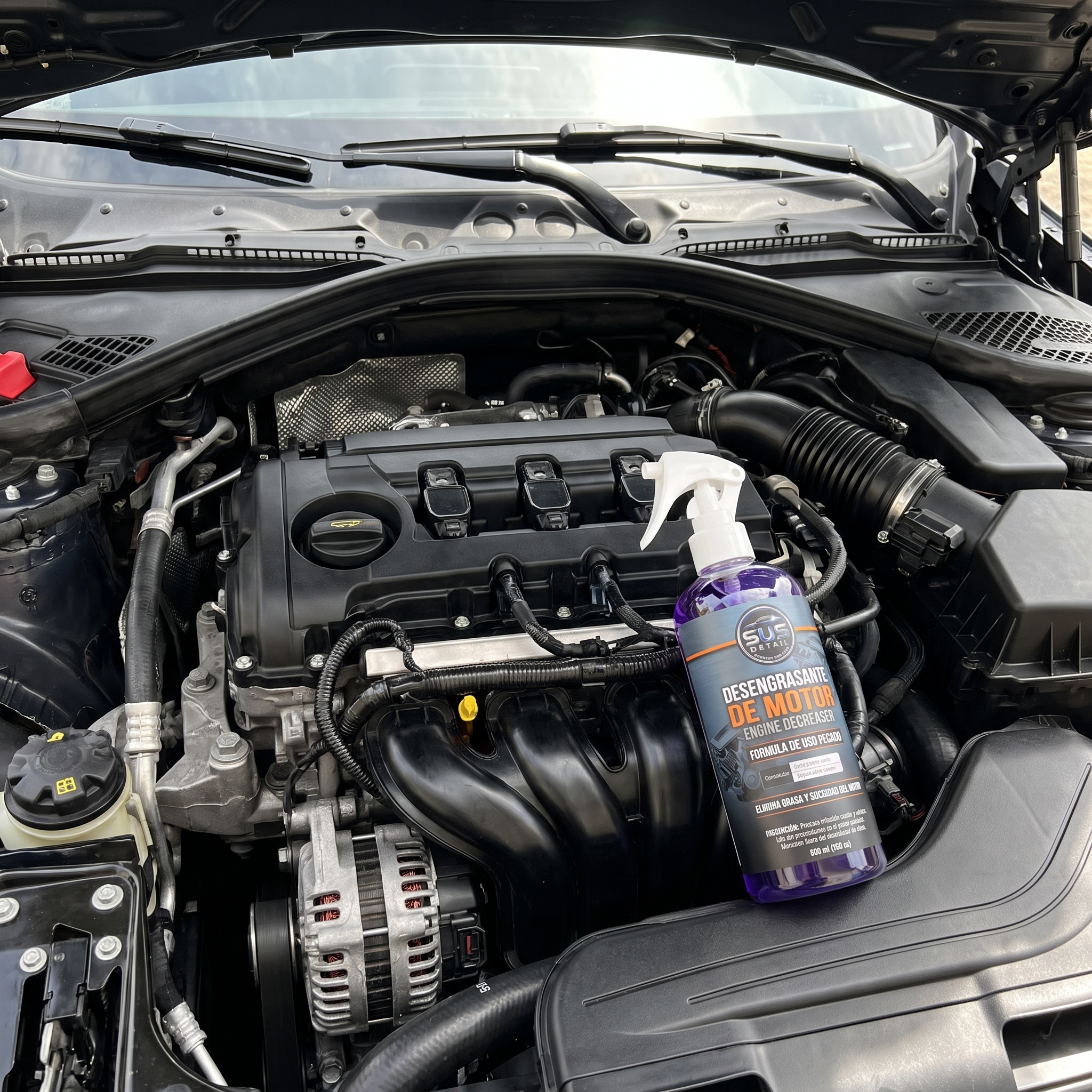 Desengrasante de Motor 500 cc
